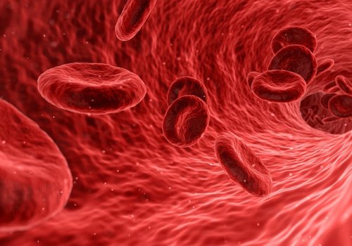 Исследование впервые выявило наличие микропластика в крови человека